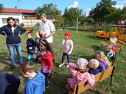 Sorbon - pes fotbalista